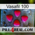 Vasafil 100 13